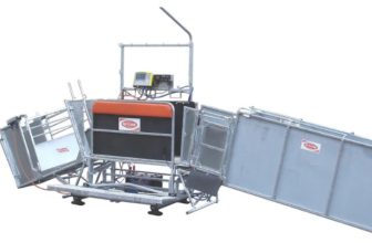 cattle mineral feeders