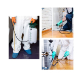 Dealing with Bed Bugs? Your Guide to Finding the Best Bed Bug Removal Service in Springfield, MO