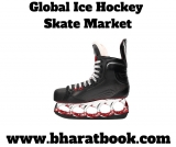Global Ice Hockey Skate Industry Market Analysis 2019-2024