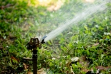 Professional landscaping done by yourself, use these tips to get started